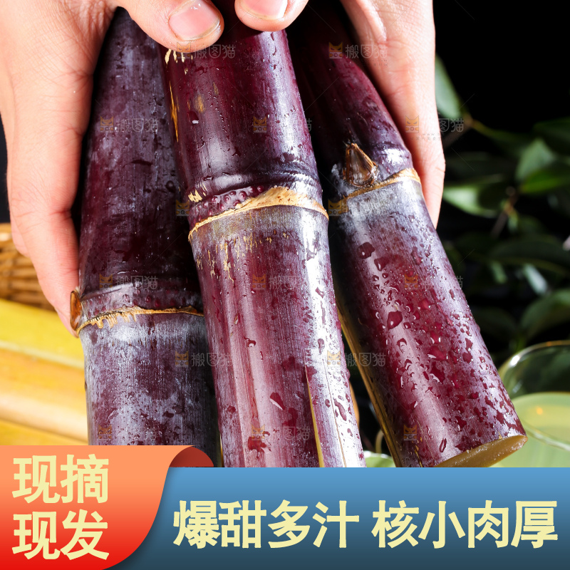 深底上的黑皮甘蔗