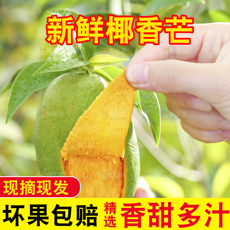 深底上的椰香芒