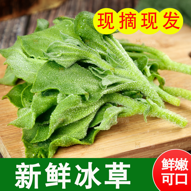 深底上的冰草
