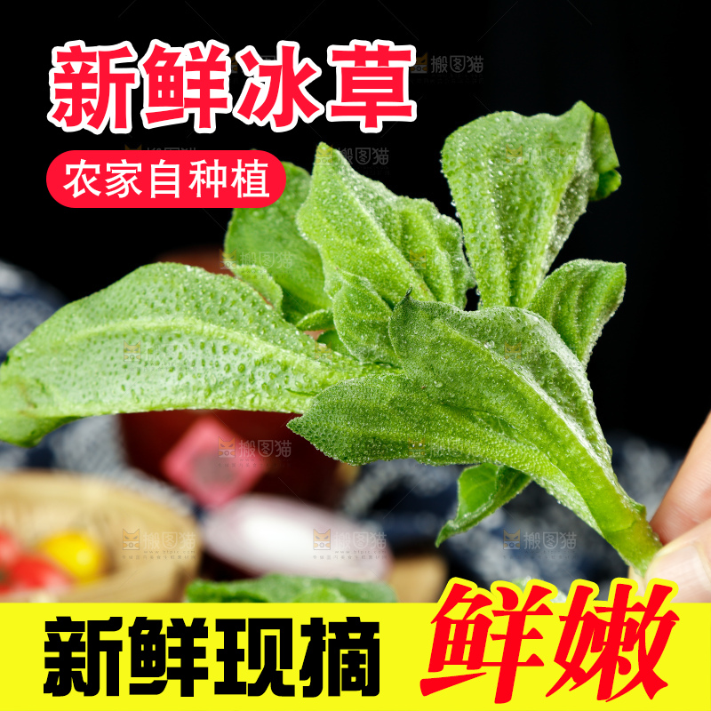 深底上的冰草