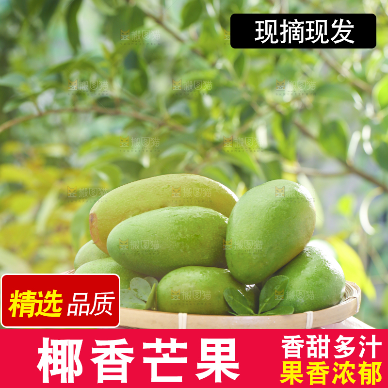 深底上的椰香芒