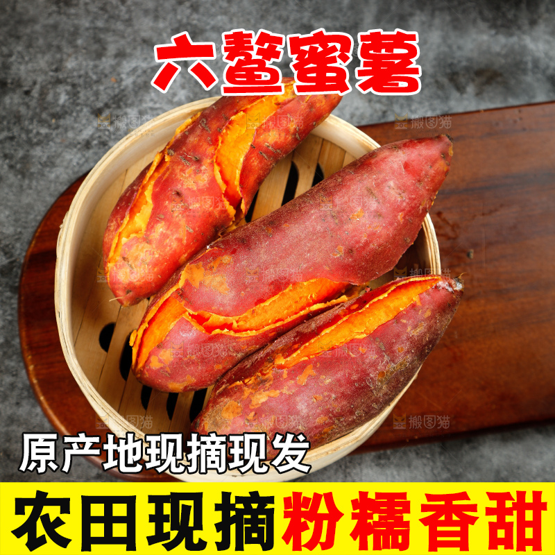 深底上的六鳌蜜薯