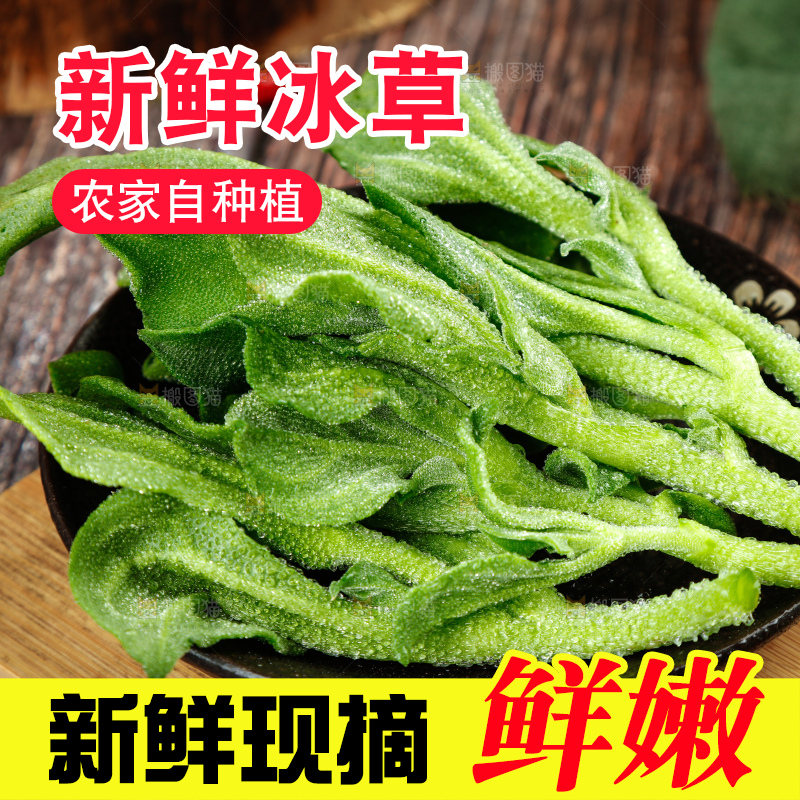 深底上的冰草