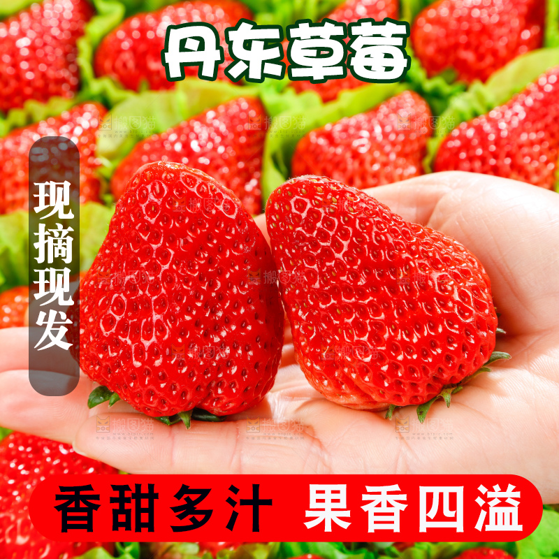 堆放着的新鲜草莓