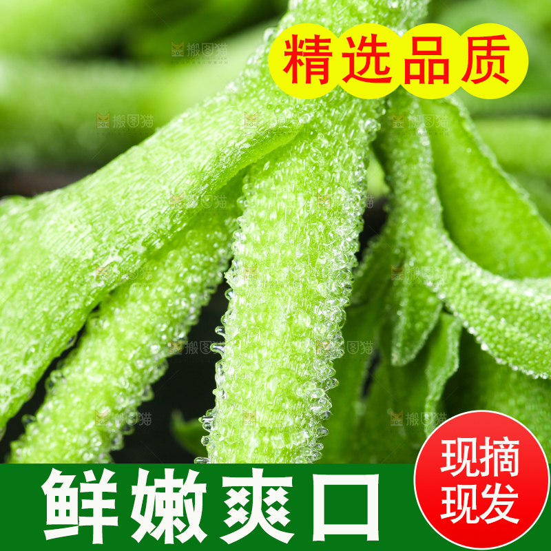 深底上的冰草