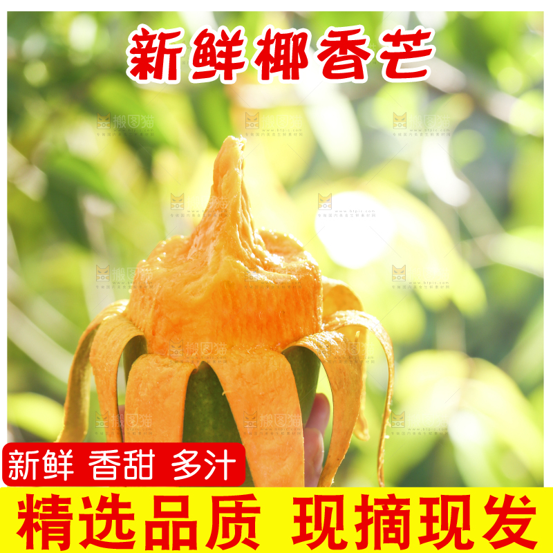深底上的椰香芒