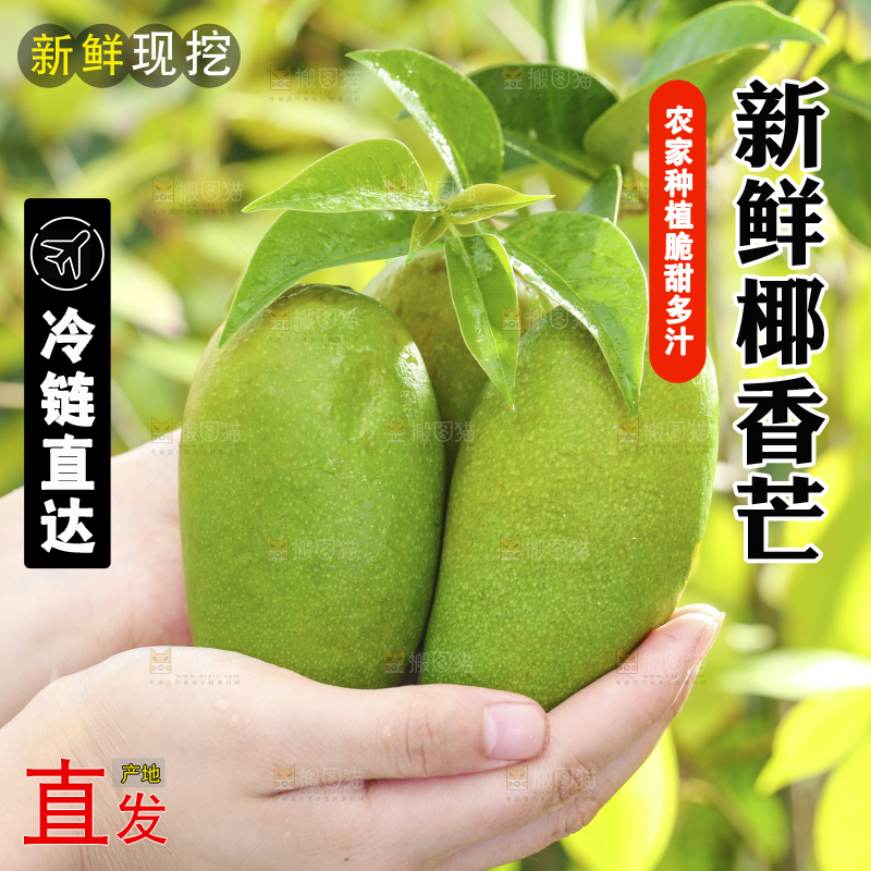 深底上的椰香芒