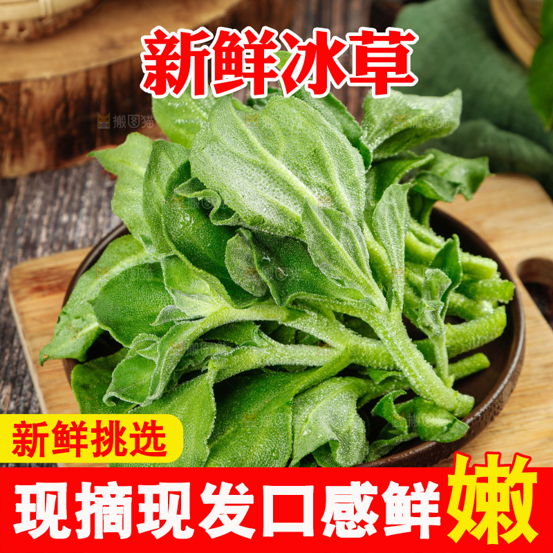 深底上的冰草