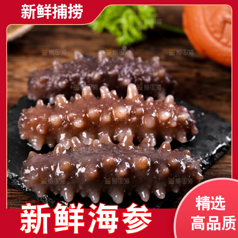 深底上的海参