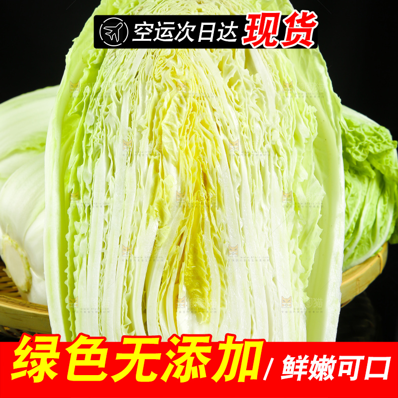 深底上的大白菜