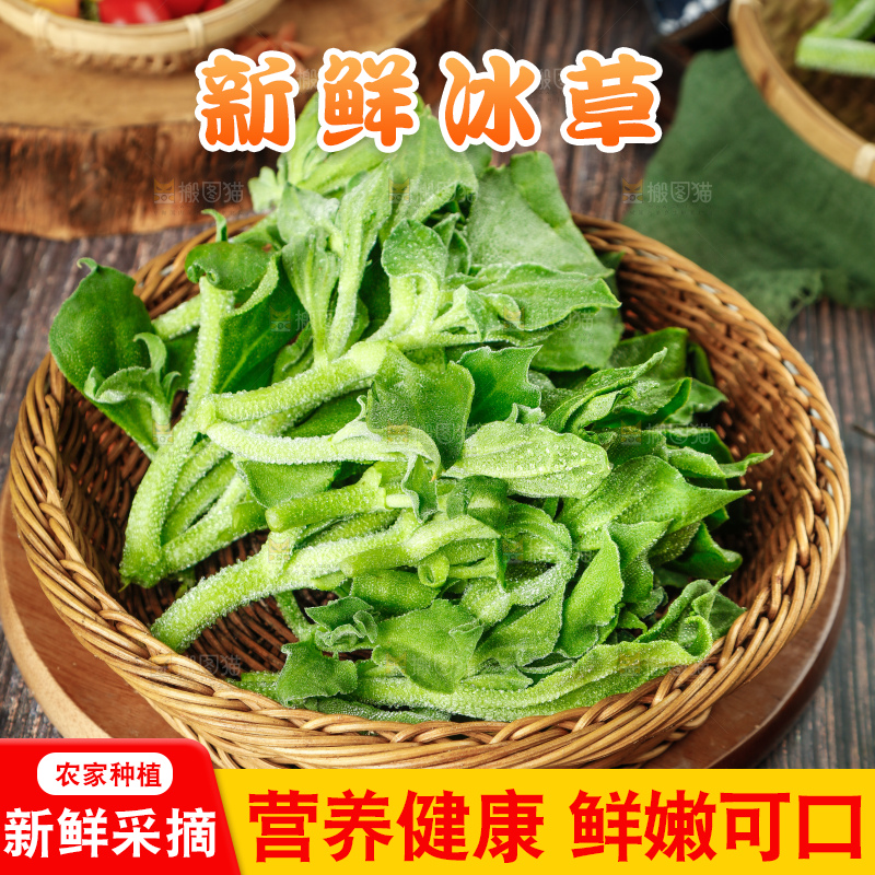 深底上的冰草