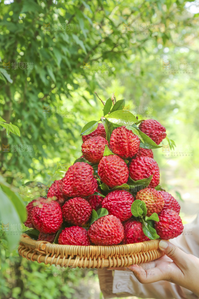 手里拿着荔枝王