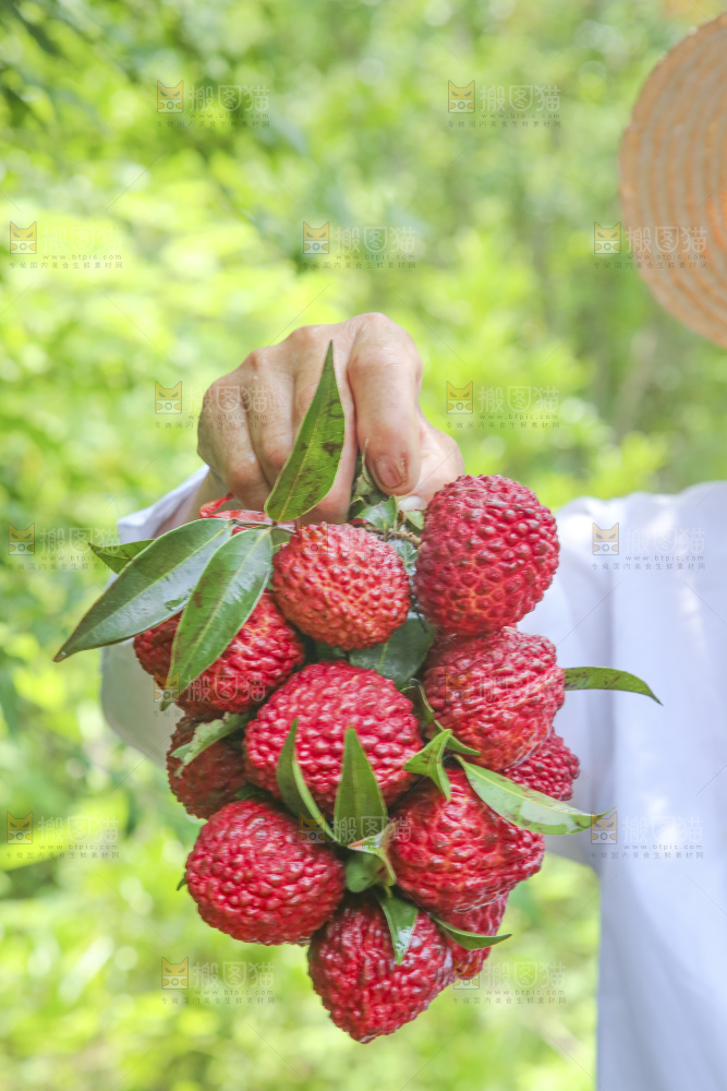手里拿着荔枝王