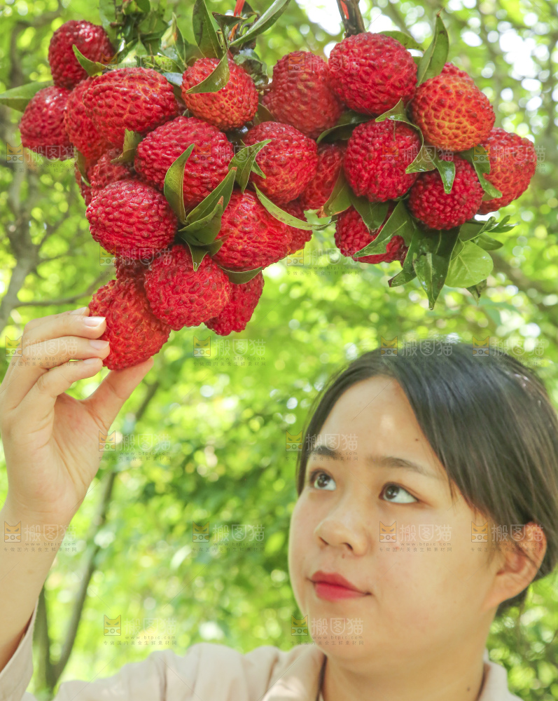 手里拿着荔枝王