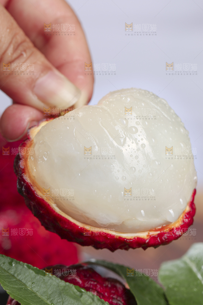深底上的荔枝王