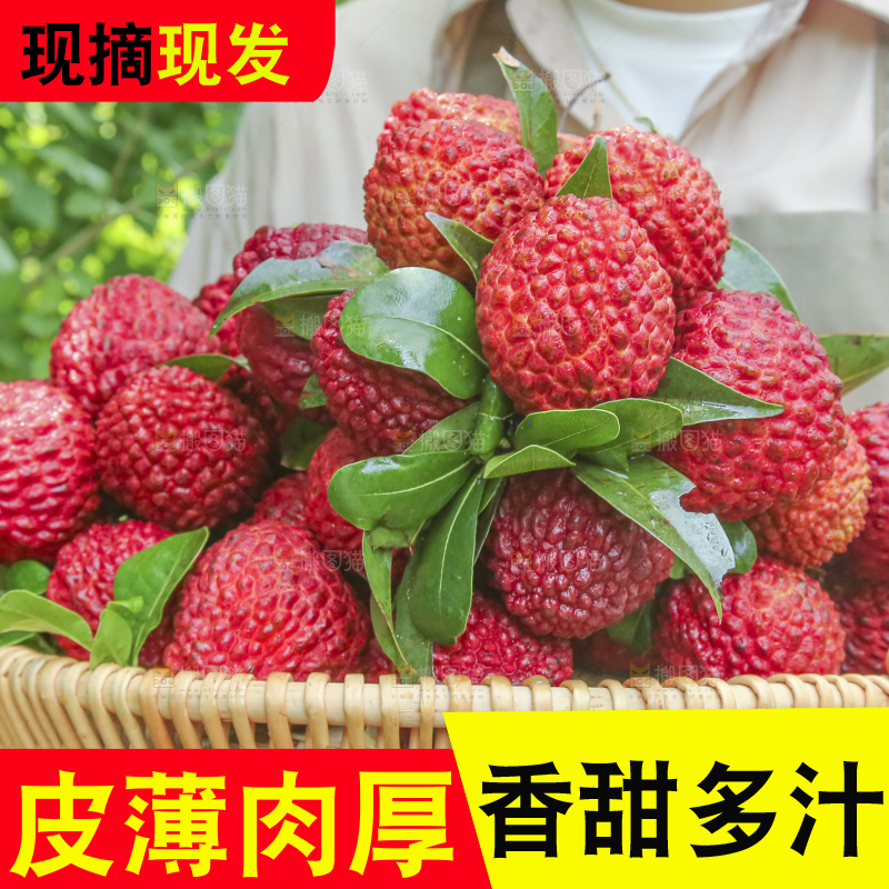 手里拿着荔枝王