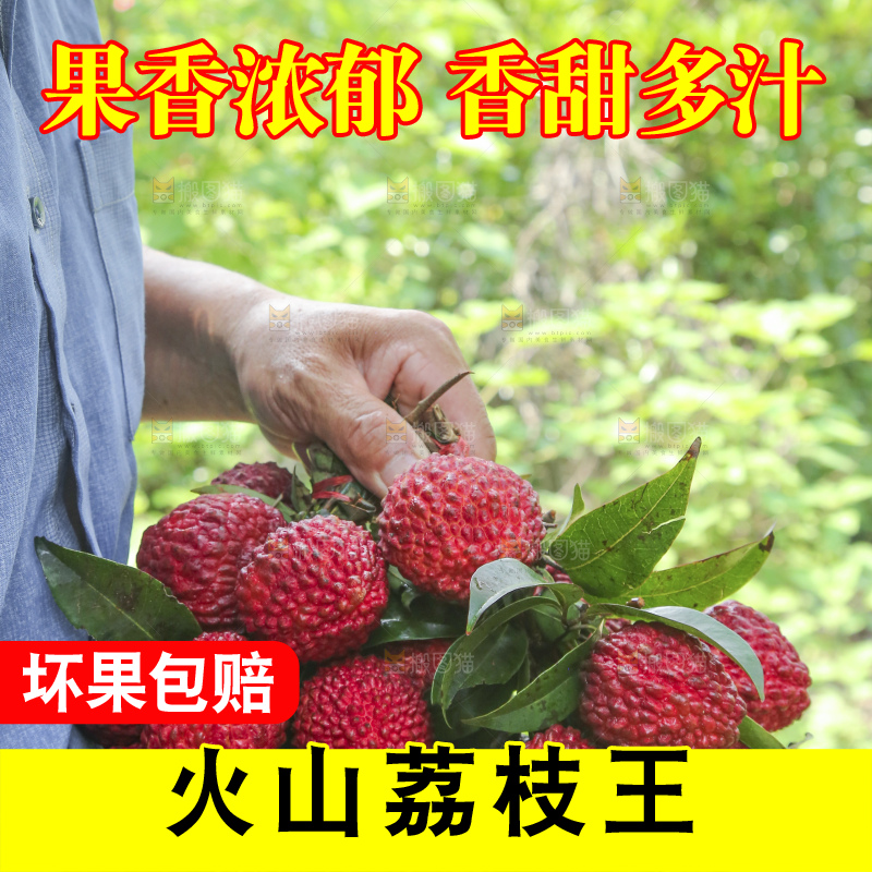 手里拿着荔枝王