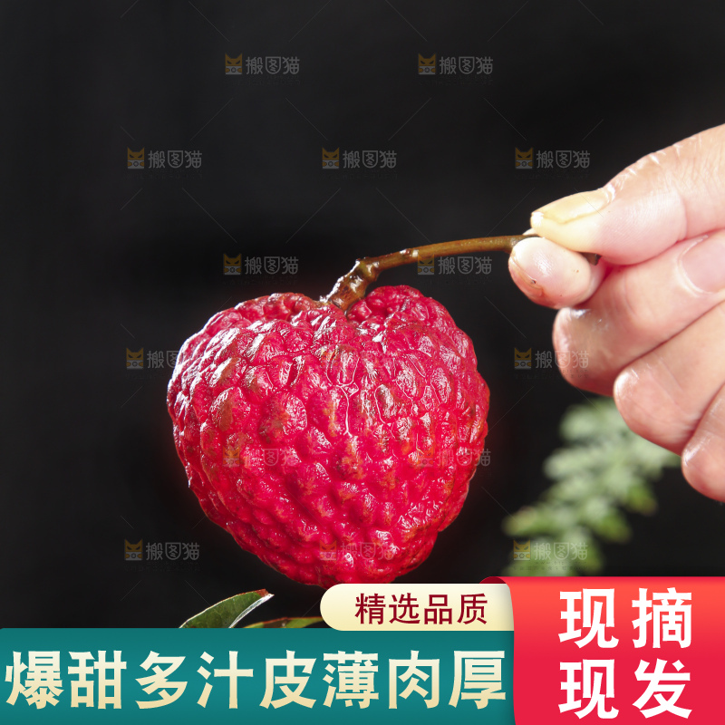 深底上的荔枝王