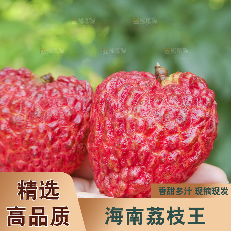 手里拿着荔枝王