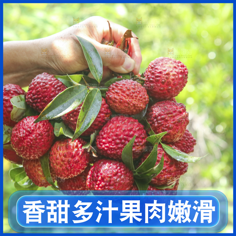 手里拿着荔枝王