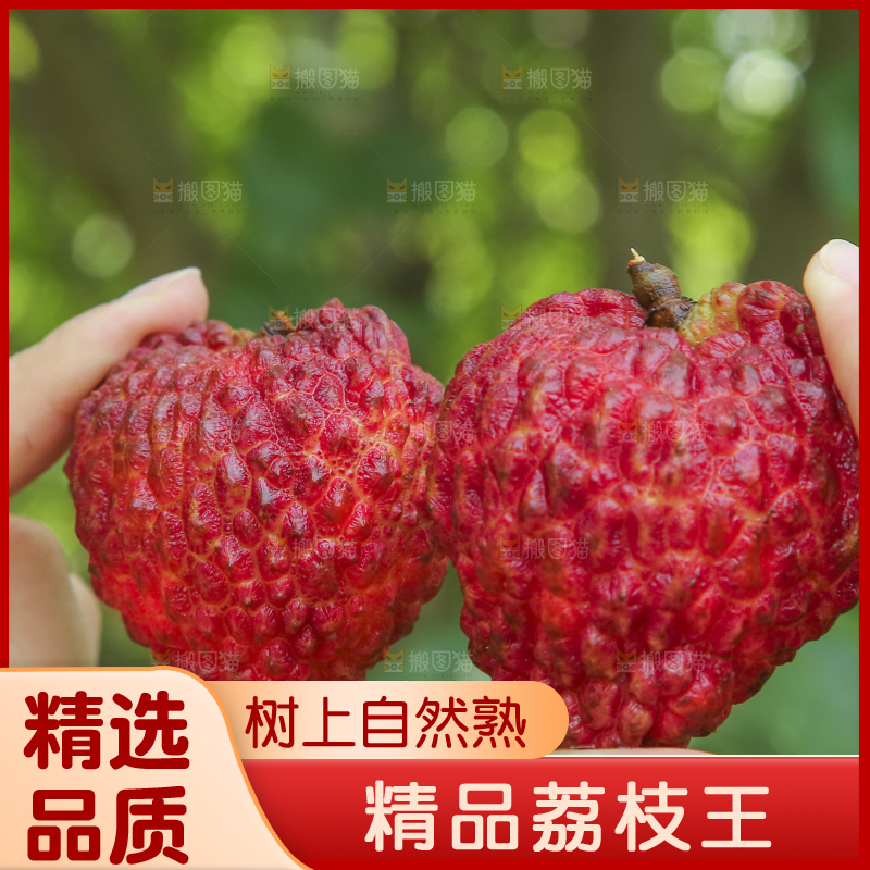 手里拿着荔枝王