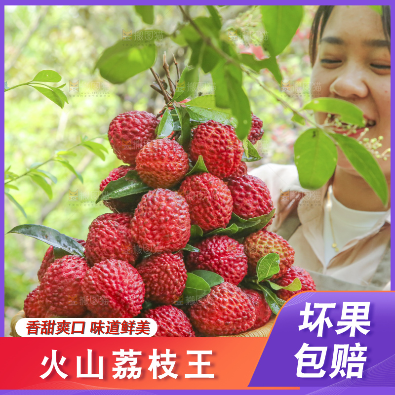 手里拿着荔枝王