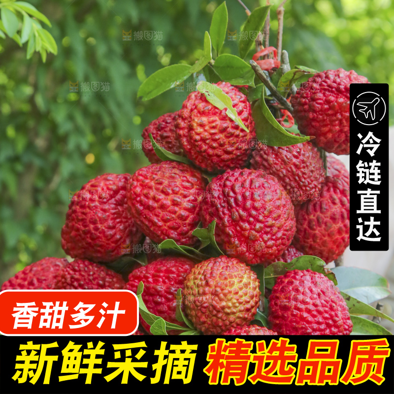 手里拿着荔枝王