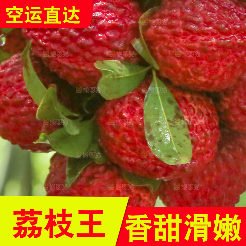 手里拿着荔枝王