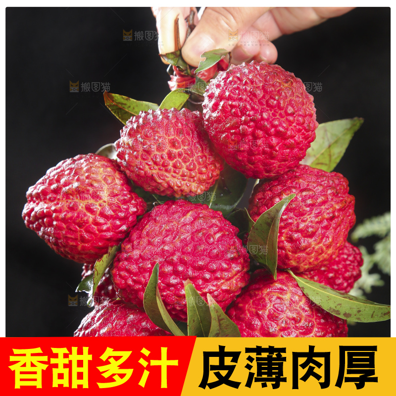深底上的荔枝王