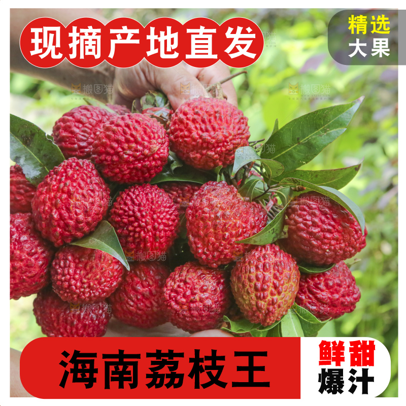 手里拿着荔枝王