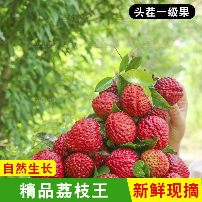 手里拿着荔枝王