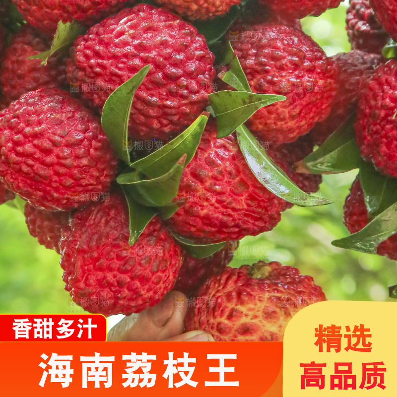 手里拿着荔枝王