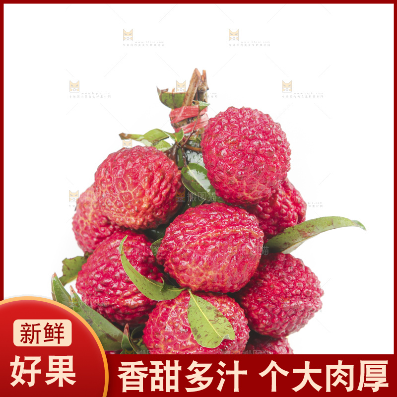 白底上的荔枝王