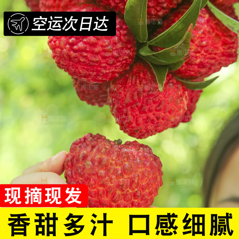 手里拿着荔枝王