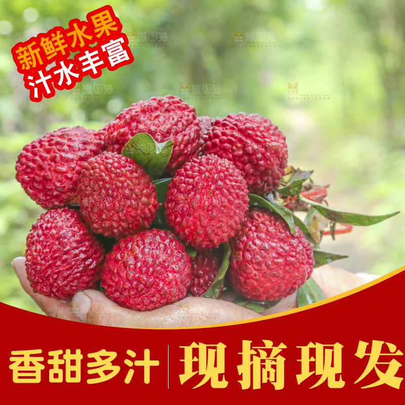手里拿着荔枝王