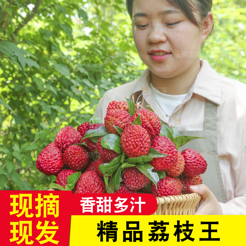 手里拿着荔枝王