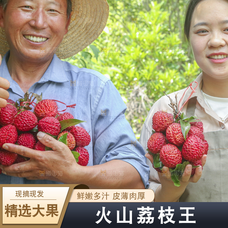 手里拿着荔枝王