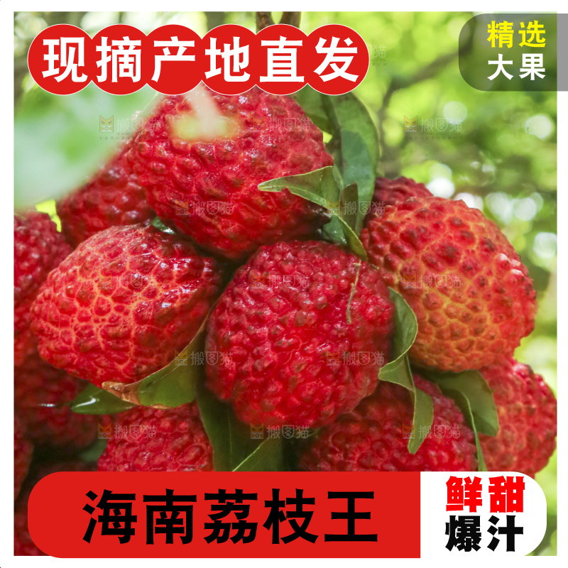 手里拿着荔枝王