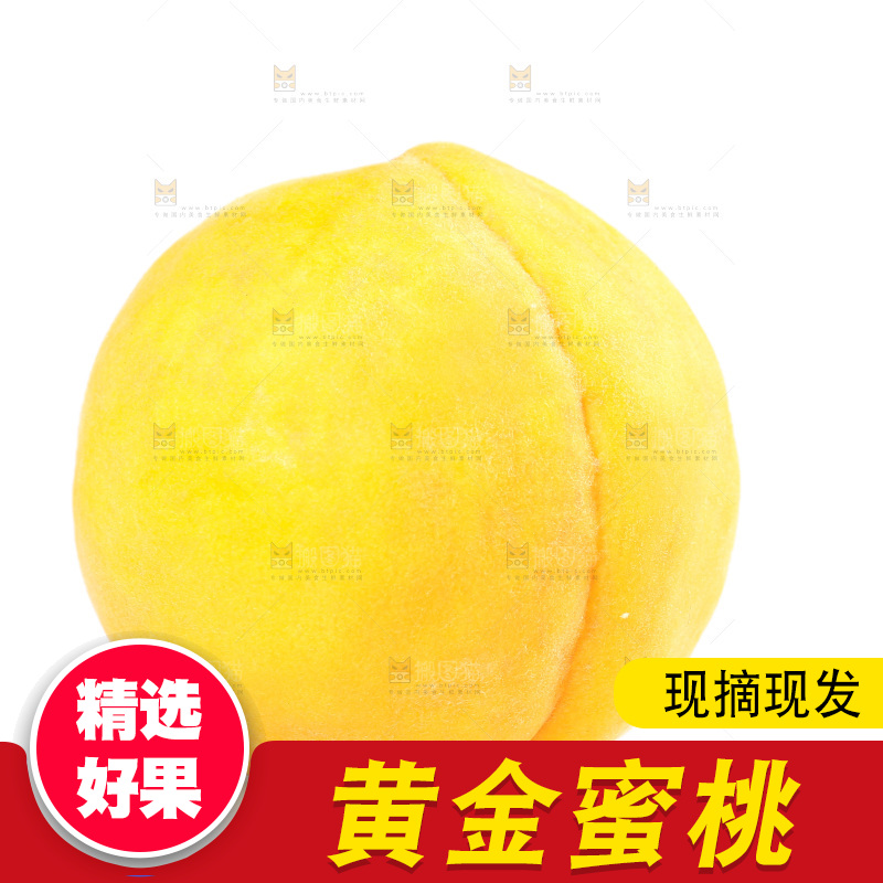 白底上的黄蜜桃