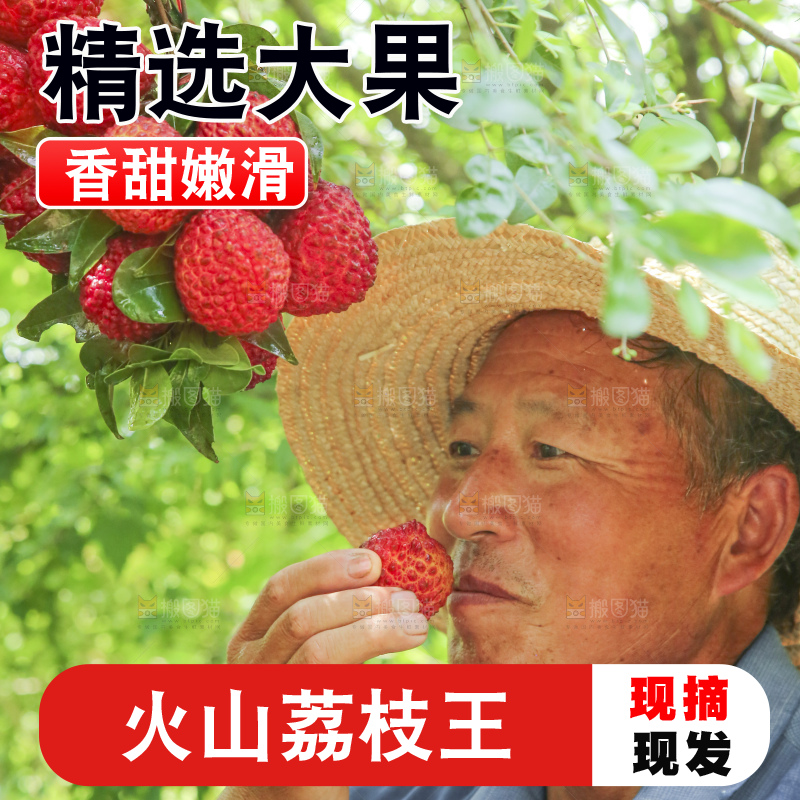手里拿着荔枝王