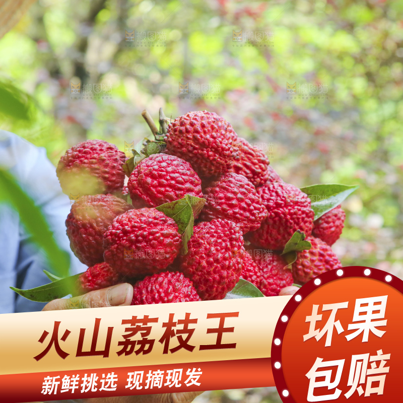 手里拿着荔枝王