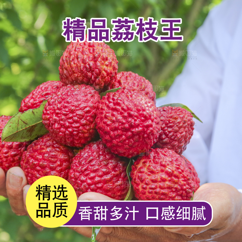 手里拿着荔枝王