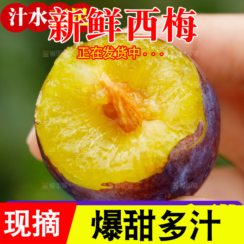 西梅主图