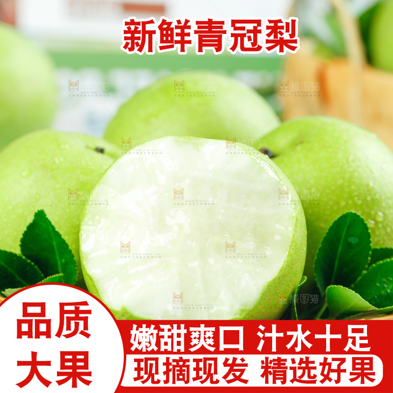 浅底上的青冠梨