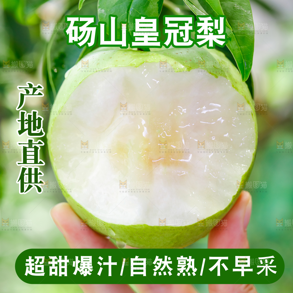 青冠梨主图