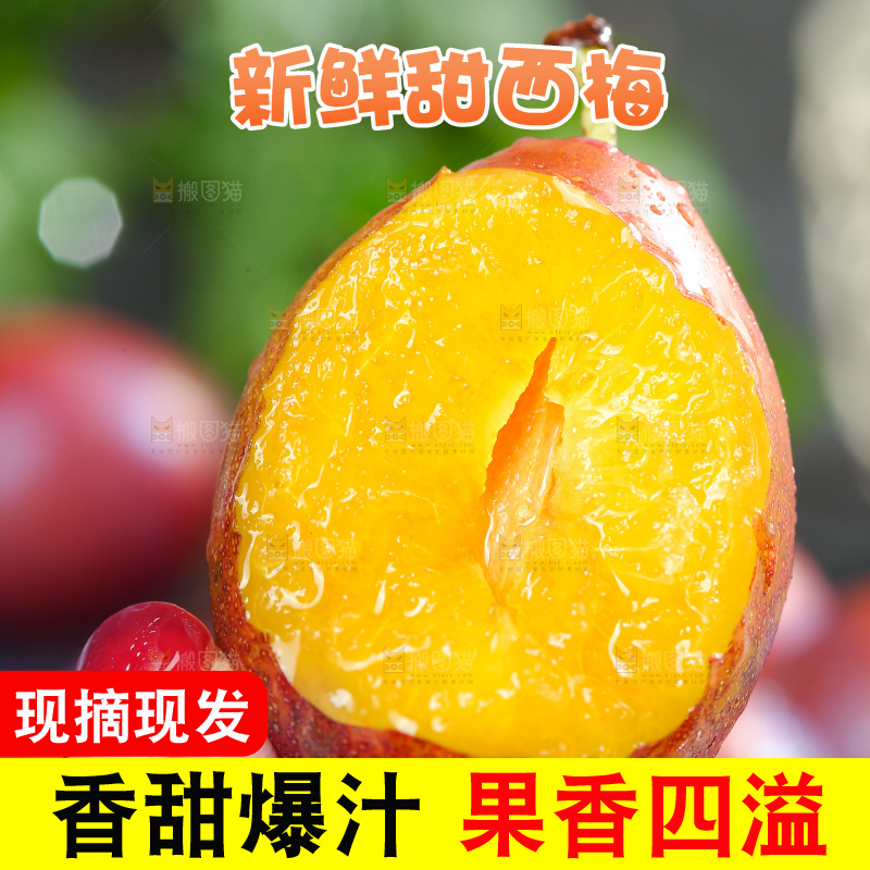 浅底上的西梅