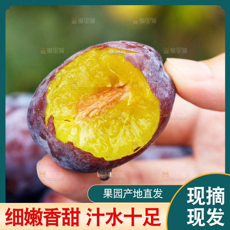 浅底上的西梅