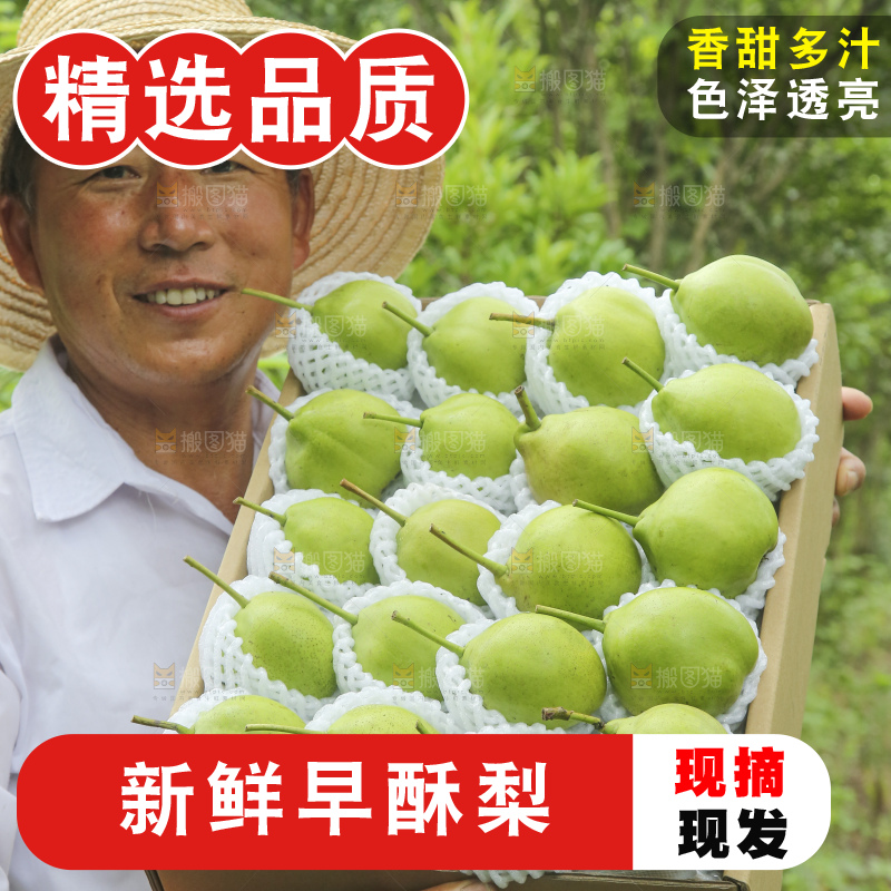 手里拿着早酥梨