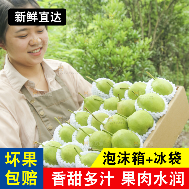手里拿着早酥梨