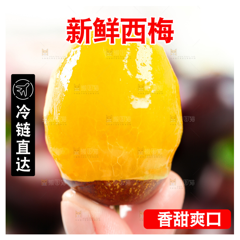 浅底上的西梅